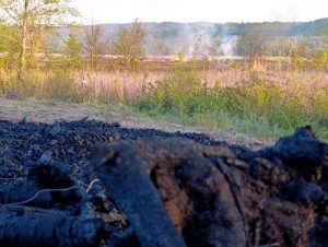 AW446654_05-300x226 Arazide yakılan ateş yayıldı: 60 dönüm arazi zarar gördü
